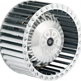 Fanlar